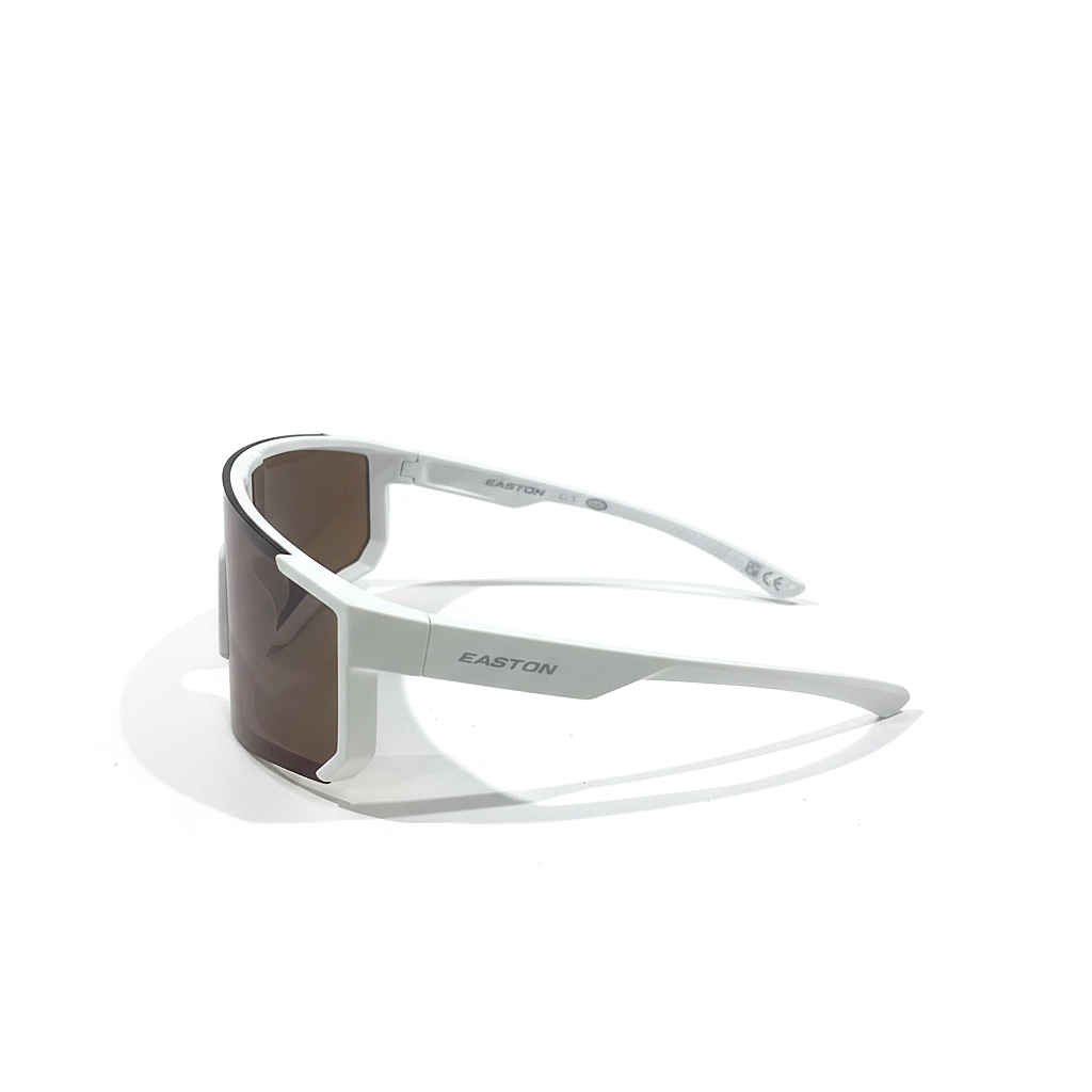 SpeedVisor X